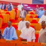 Obi-Kwankwaso ticket: We have problems – Buba Galadima